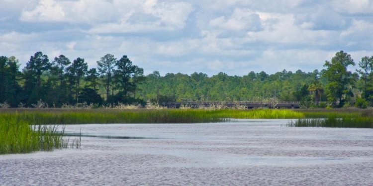 Georgia Water Quality