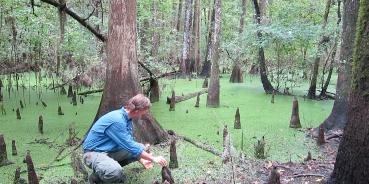 Kevin Ratkus, Alachua County s