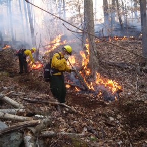 DEC forest ranger fighting fire