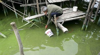 ** FILE ** A fisherman fetches water affected by blue-green algae in Lake Tai, in Wuxi, China's Jiangsu province in this June 2, 2007 file photo. Wu Lihong had warned for years that pollution was strangling his beloved Lake Tai. Yet when a disastrous algae bloom fed in part by pollution forced a lakeside city to shut off its drinking water, the salesman-turned-environmental campaigner had little chance of savoring his vindication. (Source: AP)