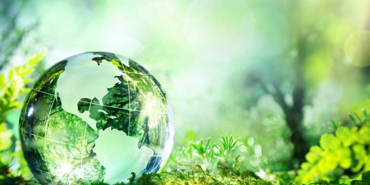 Environmental Protection Duty of Care Regulations
