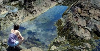 Inspecting the tidal pools, Red Rock Park, Lynn, Massachusetts, July 14, 2013