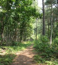 Path through a wildlife refuge in Delaware