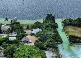 The algae bloom from Lake Okeechobee has grown since it was first measured in May. Environmentalists believe it now stretches more than 200 square miles. This algae bloom is in the St. Lucie Estuary on Friday, July 8, 2016. South Florida Water Management District says the aglae bloom has dissipated some, following efforts to minimize impacts from the Lake O discharges. (Joseph Forzano / The Palm Beach Post)