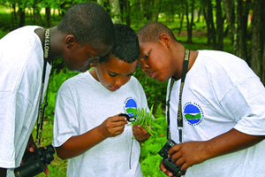 three boy campers looking at a plant through a magnifying glass