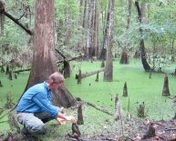 Alachua County Environmental Protection Department